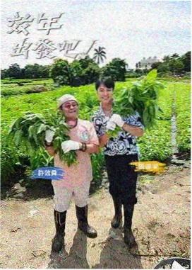 料理小当家动漫封面